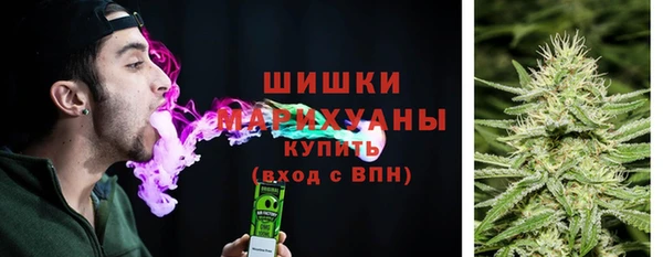 apvp Медногорск