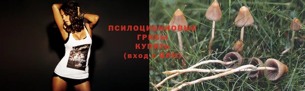 гашиш Майский