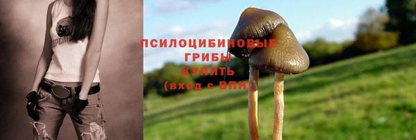 эйфоретик Медвежьегорск