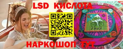 прущие грибы Заводоуковск