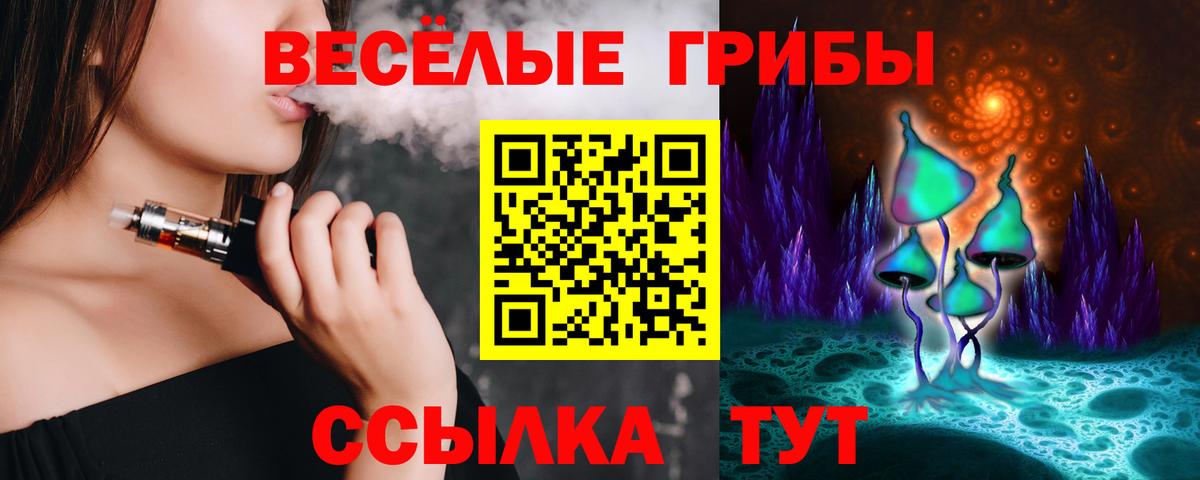 Моздок  Псилоцибиновые грибы мухоморы  Вход с VPN 