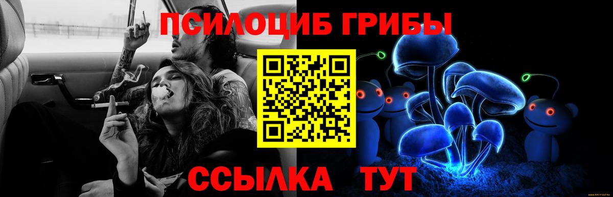 Псилоцибиновые грибы MAGIC MUSHROOMS Моздок